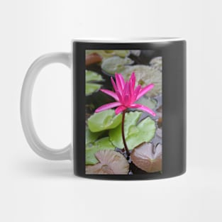 Water Lilies Mug